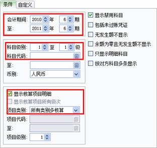 明细帐报表查询图