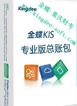 重庆蝶软科技金蝶总帐*